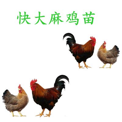 價(jià)格 廠家 中國(guó)供應(yīng)商