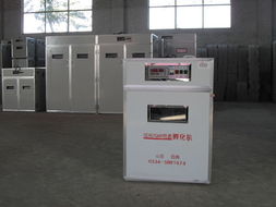 德州恒源孵化設(shè)備廠 專(zhuān)業(yè)家禽孵化解決方案提供商