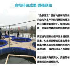 智慧農(nóng)研引領(lǐng)未來 重慶工廠化高密度養(yǎng)魚的創(chuàng)新實踐