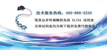 酶聯(lián)免疫 技術(shù)服務(wù)