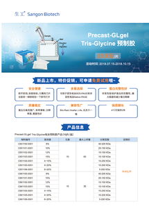 生工生物技術交流 把握Tris預制膠促銷，提升生命科學研究效率